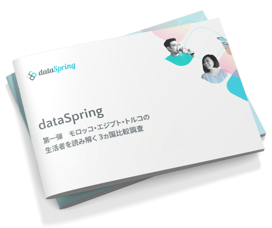 img-dataSpring-Japan-3country-ebookcover