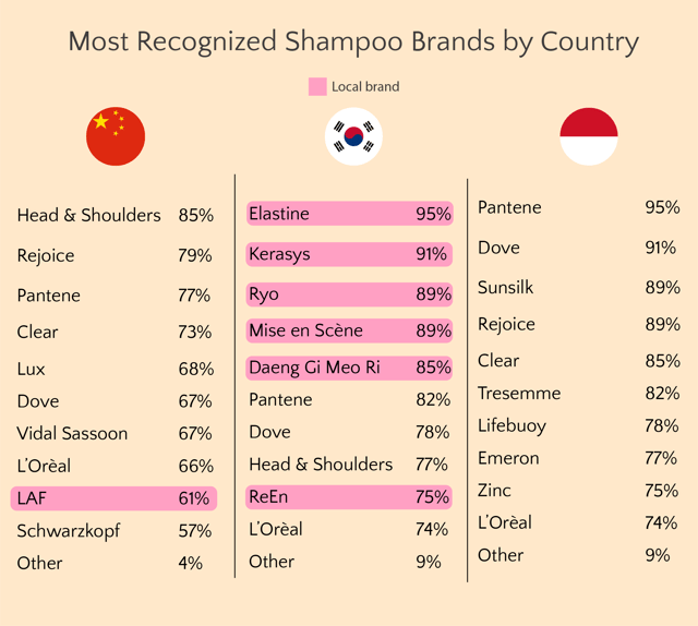 [Case Study] Shampoo Buyer Behavior in China, South Korea and Indonesia