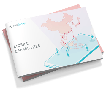 Download dataSpring's Mobile Capabilities ebook