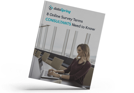 dataSpring EBOOK