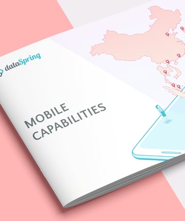 dataSpring Mobile Capabilities Ebook